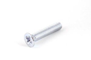Picture of Electro-zinc plated DIN 965 Pozidriv M 3 X 45