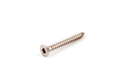 Picture of A4 DIN 7982 Torx 5,5 X 25