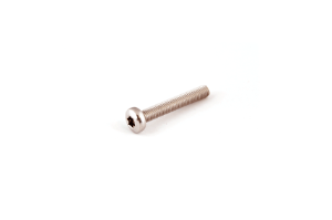 Bilde av A4 DIN 7985 TORX M 4 X 25